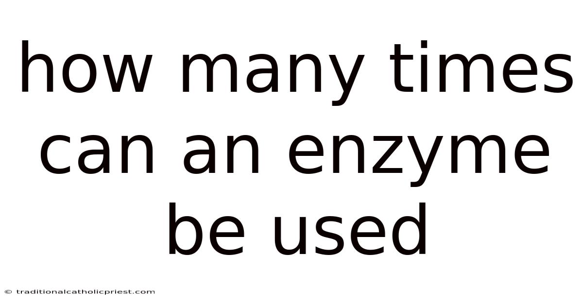 How Many Times Can An Enzyme Be Used