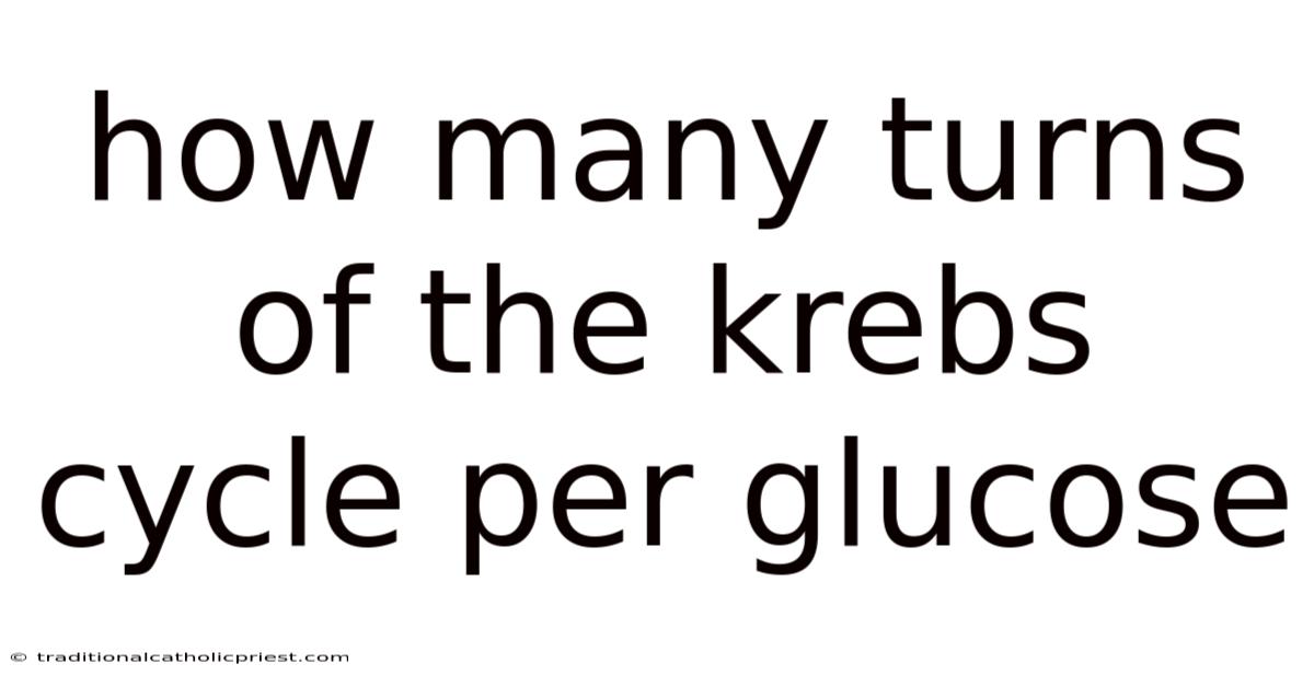 How Many Turns Of The Krebs Cycle Per Glucose