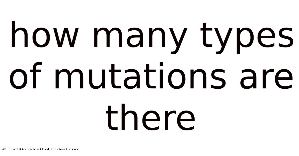 How Many Types Of Mutations Are There
