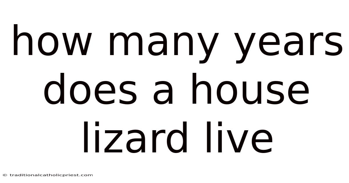 How Many Years Does A House Lizard Live