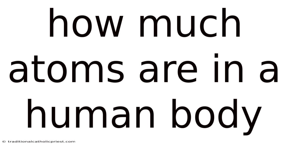 How Much Atoms Are In A Human Body