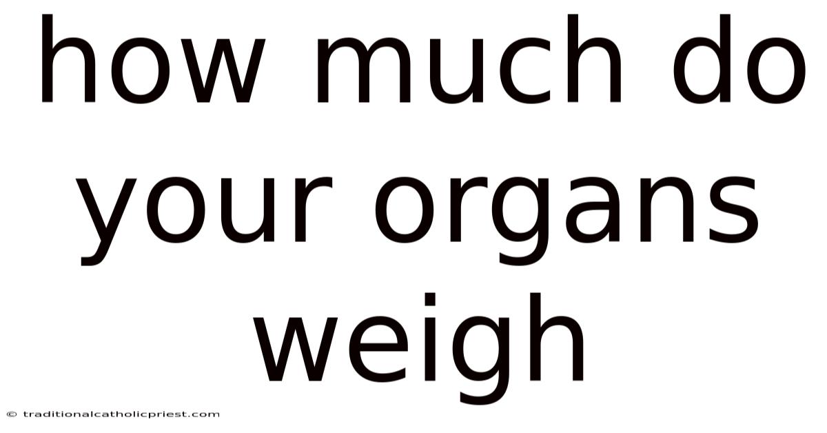 How Much Do Your Organs Weigh