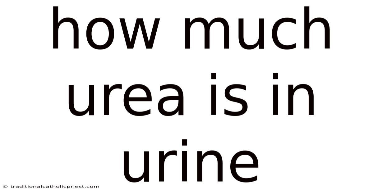 How Much Urea Is In Urine