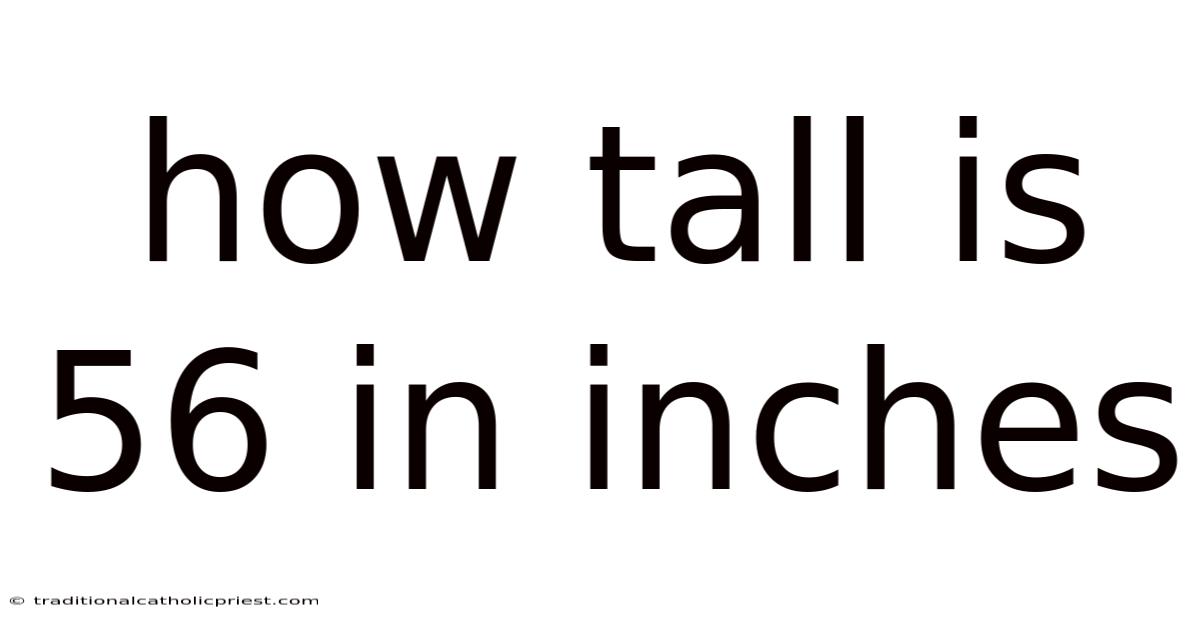 How Tall Is 56 In Inches
