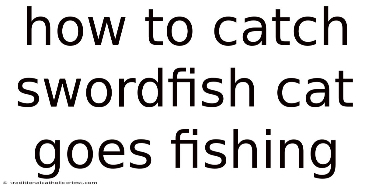 How To Catch Swordfish Cat Goes Fishing