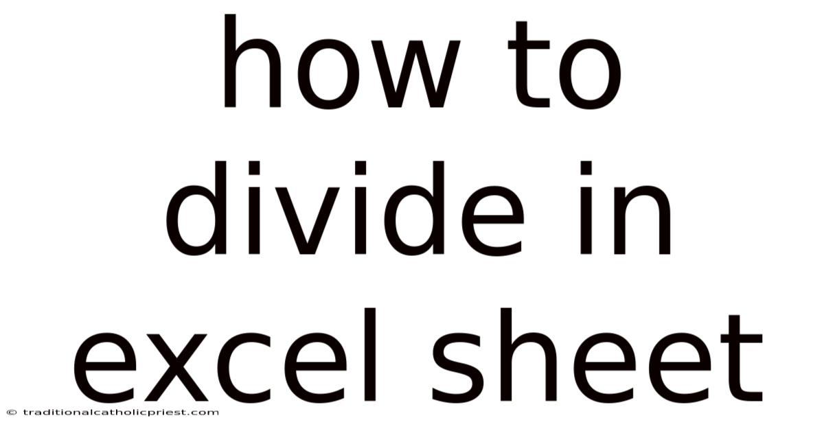 How To Divide In Excel Sheet