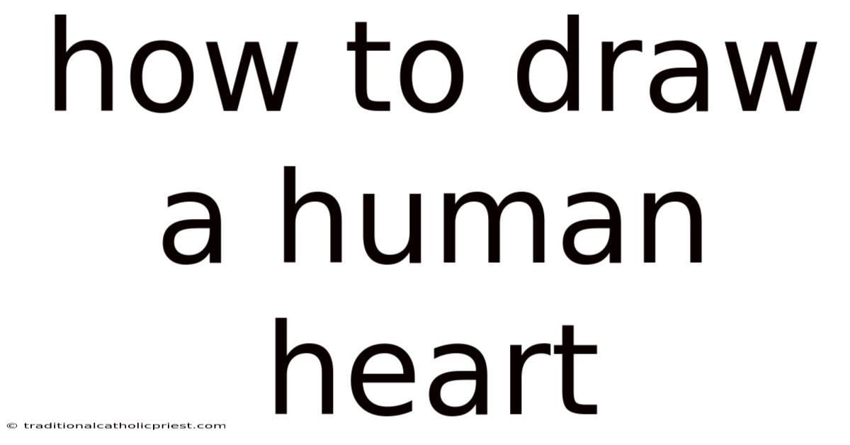 How To Draw A Human Heart