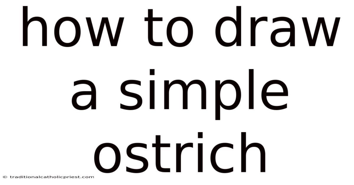 How To Draw A Simple Ostrich