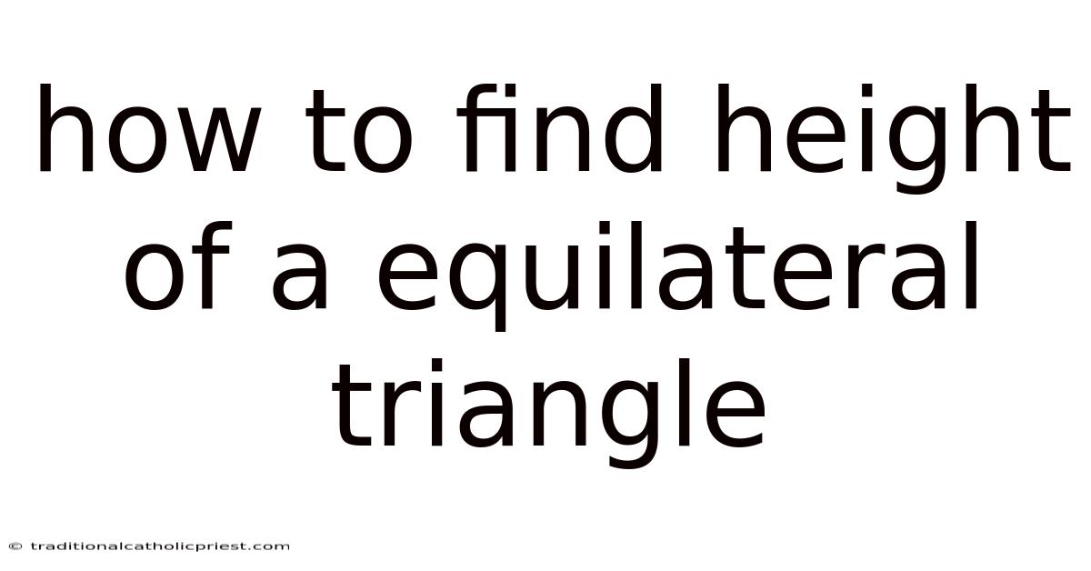 How To Find Height Of A Equilateral Triangle
