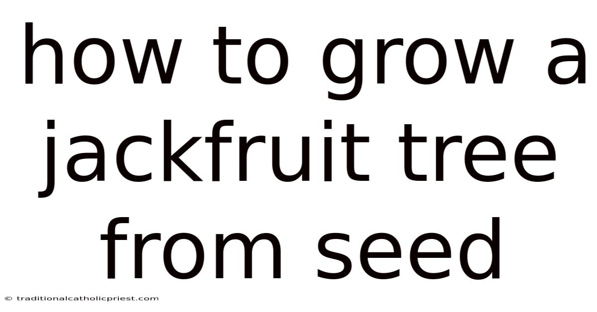 How To Grow A Jackfruit Tree From Seed