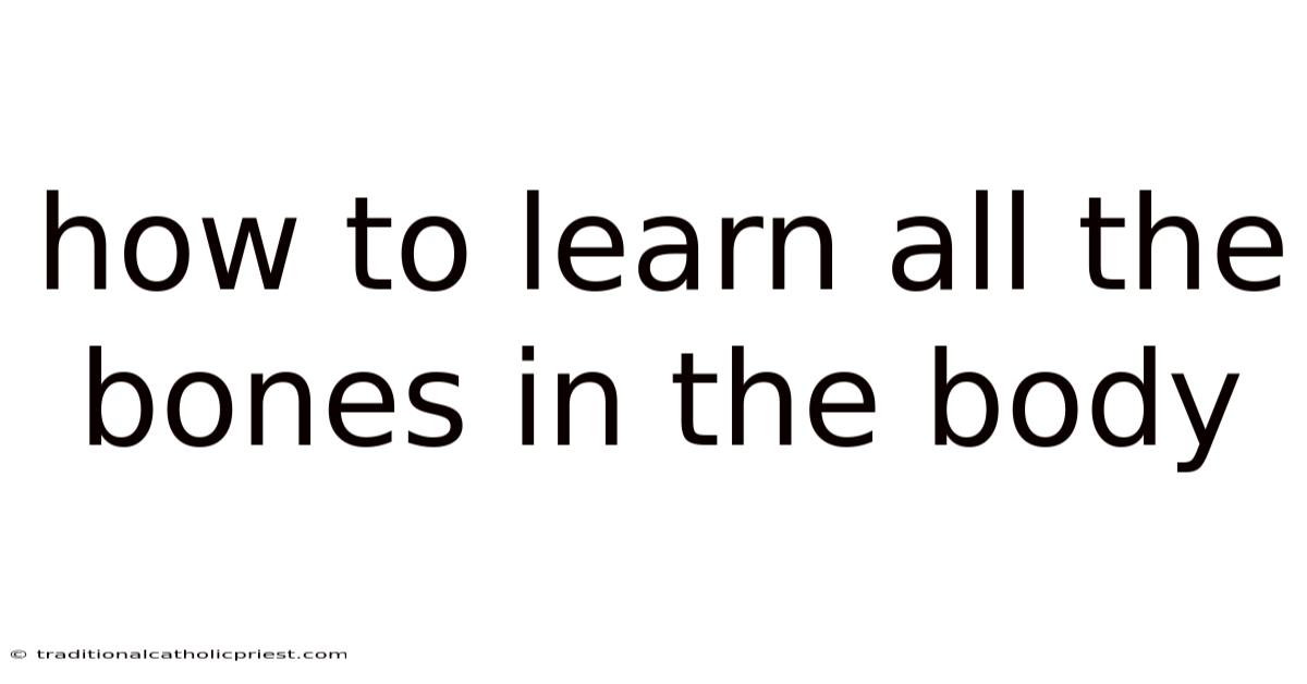 How To Learn All The Bones In The Body