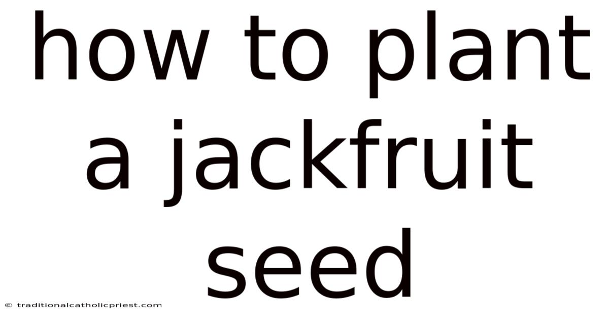 How To Plant A Jackfruit Seed