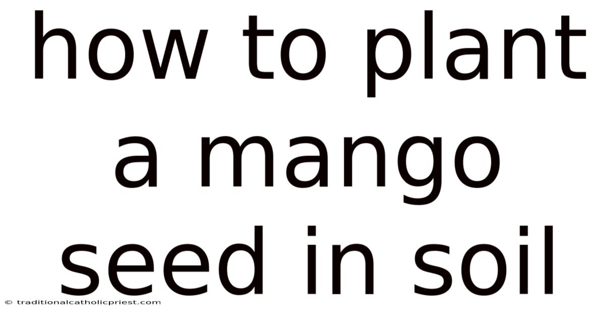 How To Plant A Mango Seed In Soil