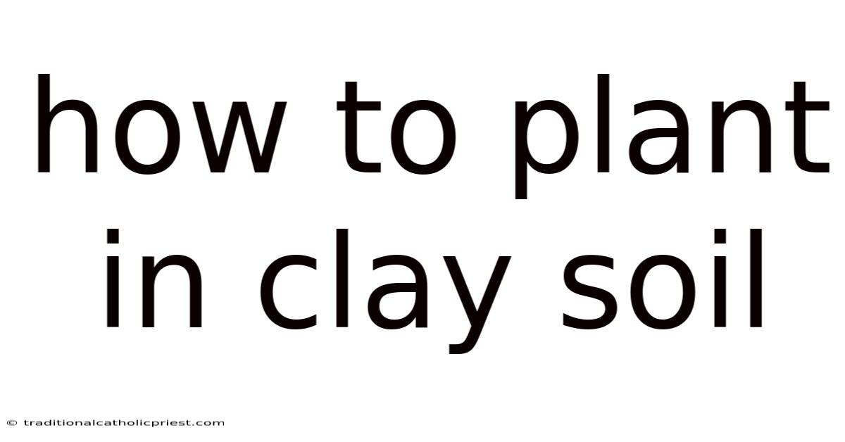 How To Plant In Clay Soil