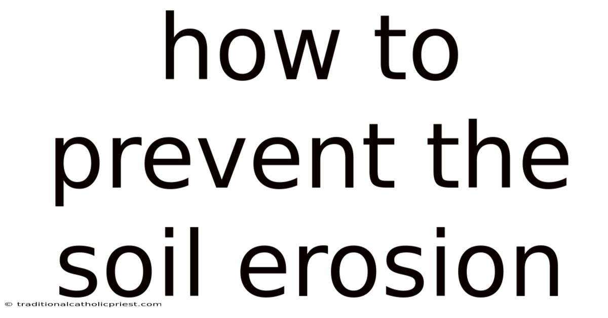 How To Prevent The Soil Erosion