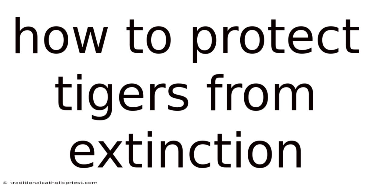 How To Protect Tigers From Extinction