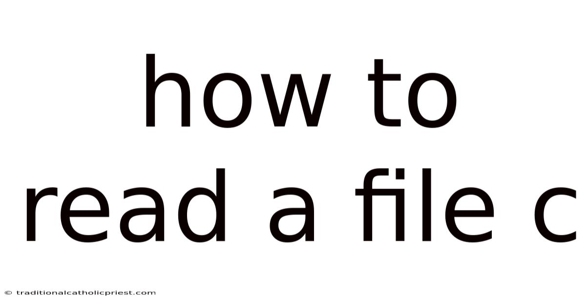 How To Read A File C