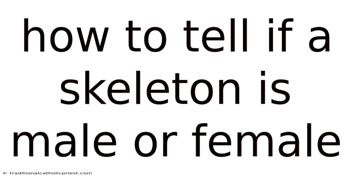 How To Tell If A Skeleton Is Male Or Female