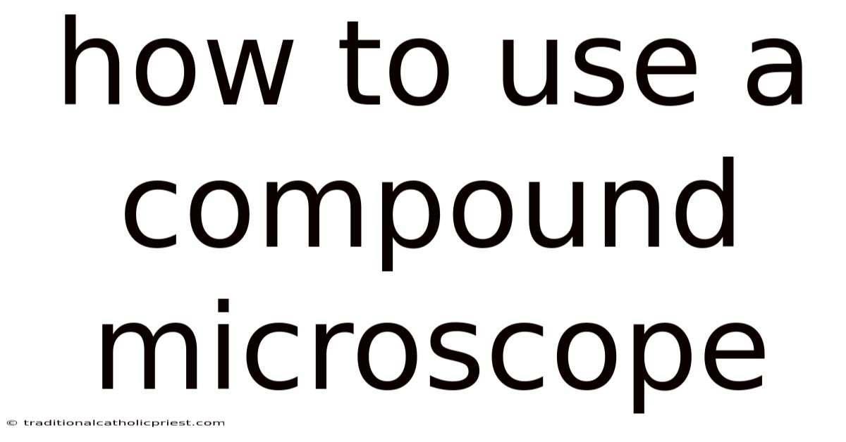 How To Use A Compound Microscope