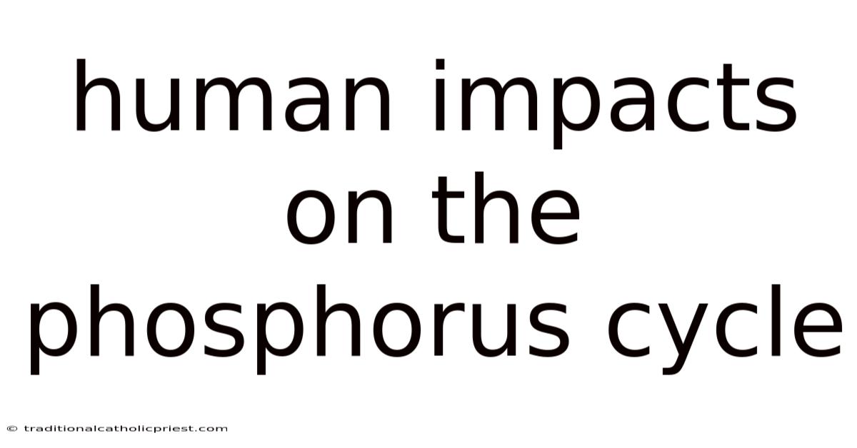 Human Impacts On The Phosphorus Cycle