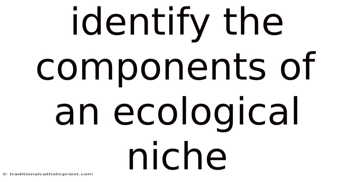 Identify The Components Of An Ecological Niche
