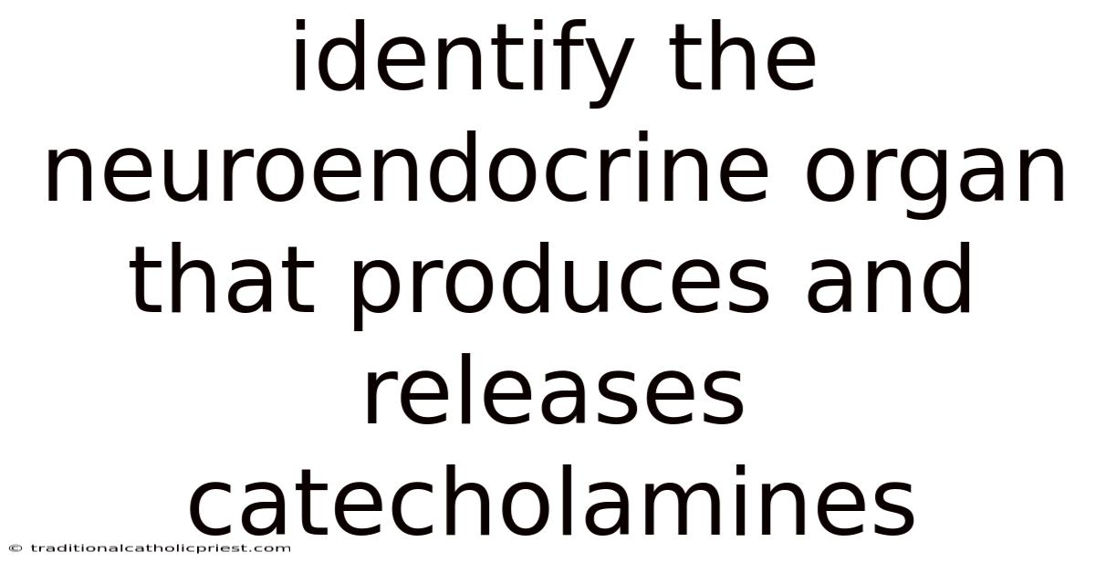 Identify The Neuroendocrine Organ That Produces And Releases Catecholamines
