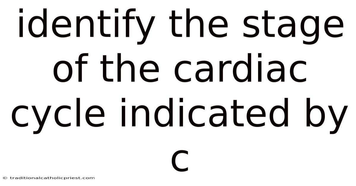 Identify The Stage Of The Cardiac Cycle Indicated By C
