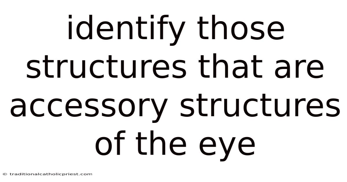 Identify Those Structures That Are Accessory Structures Of The Eye