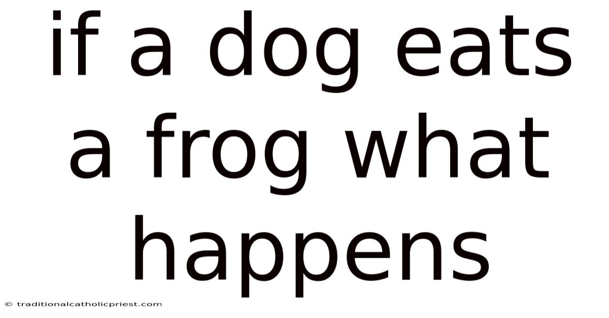 If A Dog Eats A Frog What Happens