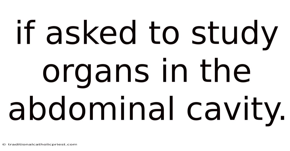 If Asked To Study Organs In The Abdominal Cavity.