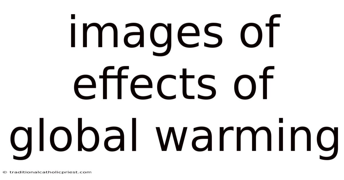 Images Of Effects Of Global Warming