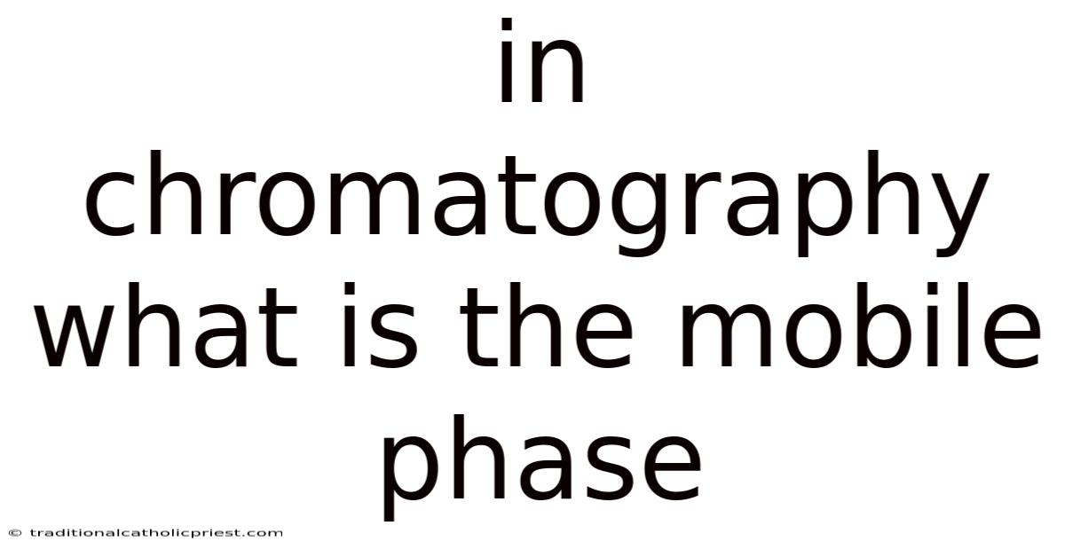 In Chromatography What Is The Mobile Phase