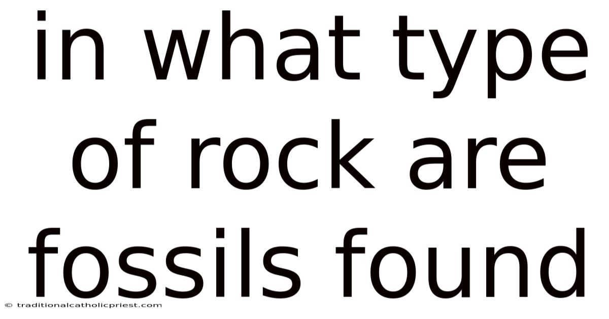 In What Type Of Rock Are Fossils Found