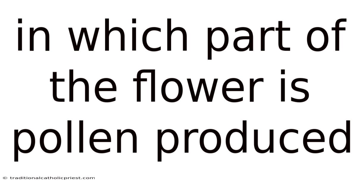 In Which Part Of The Flower Is Pollen Produced