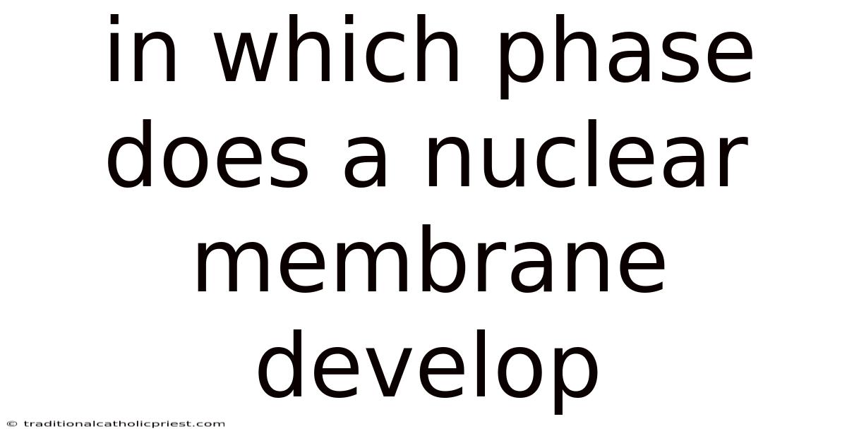 In Which Phase Does A Nuclear Membrane Develop