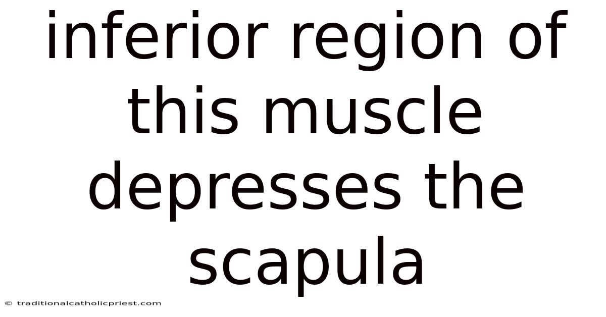 Inferior Region Of This Muscle Depresses The Scapula