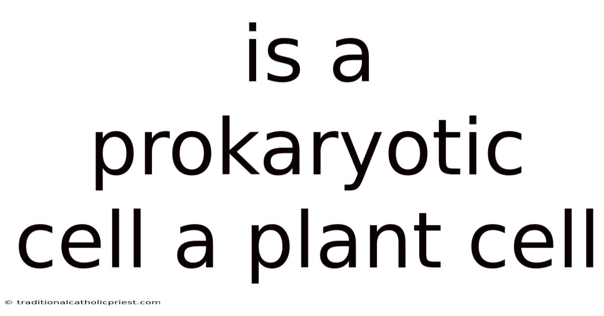 Is A Prokaryotic Cell A Plant Cell