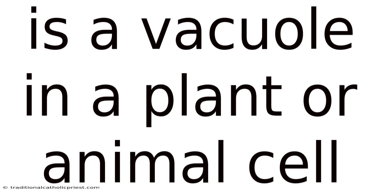 Is A Vacuole In A Plant Or Animal Cell