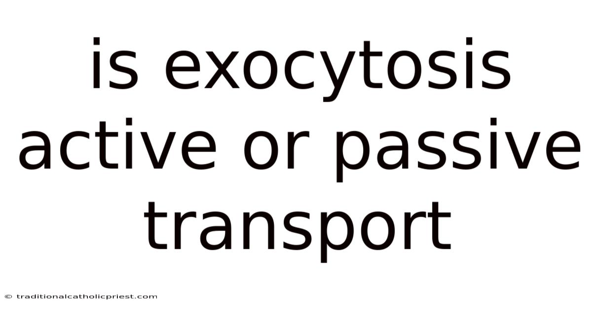 Is Exocytosis Active Or Passive Transport