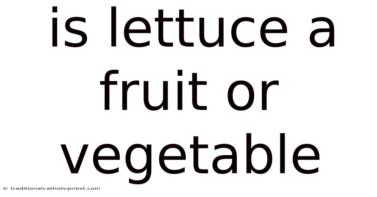 Is Lettuce A Fruit Or Vegetable