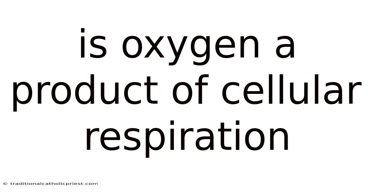 Is Oxygen A Product Of Cellular Respiration