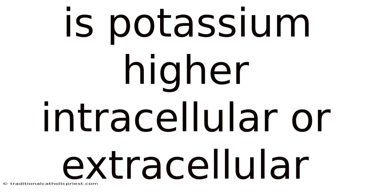 Is Potassium Higher Intracellular Or Extracellular