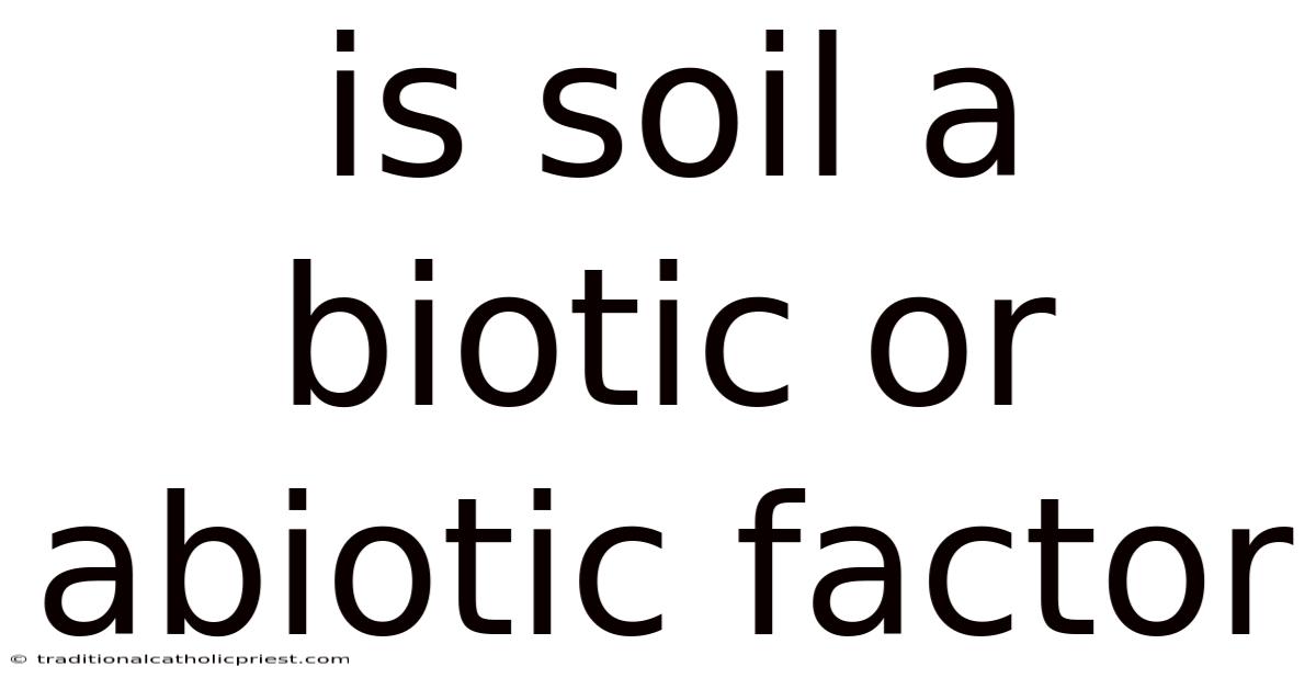 Is Soil A Biotic Or Abiotic Factor