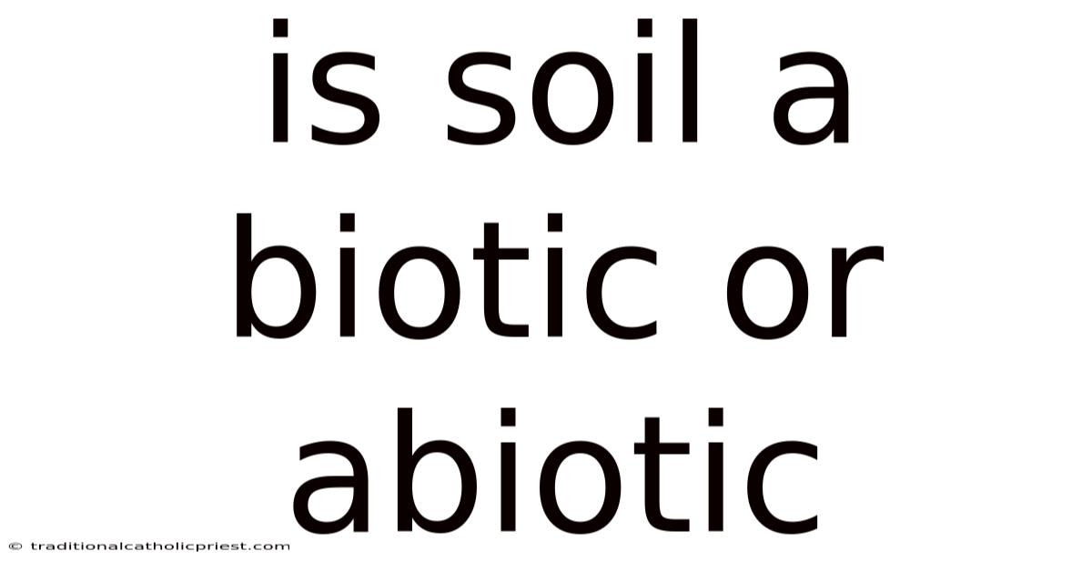 Is Soil A Biotic Or Abiotic