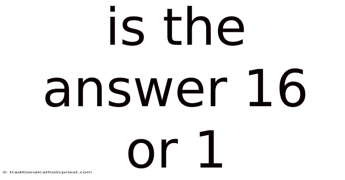 Is The Answer 16 Or 1