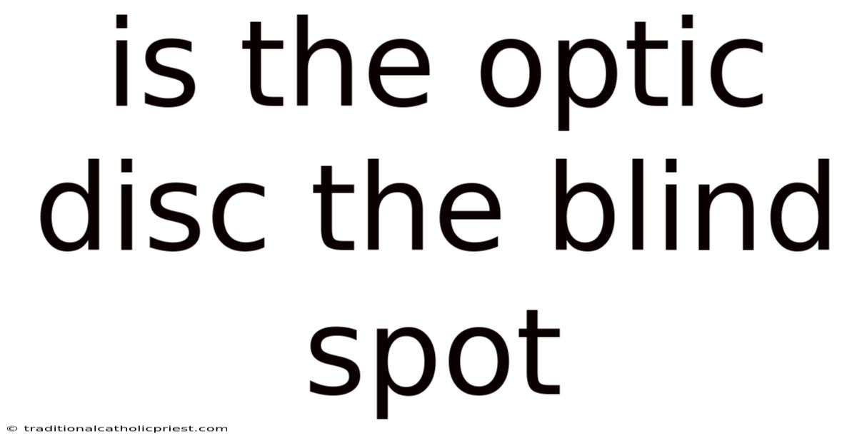 Is The Optic Disc The Blind Spot