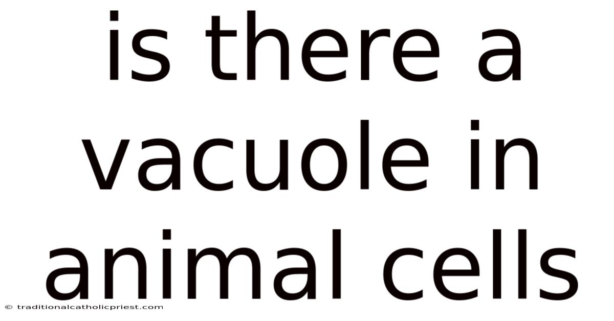 Is There A Vacuole In Animal Cells