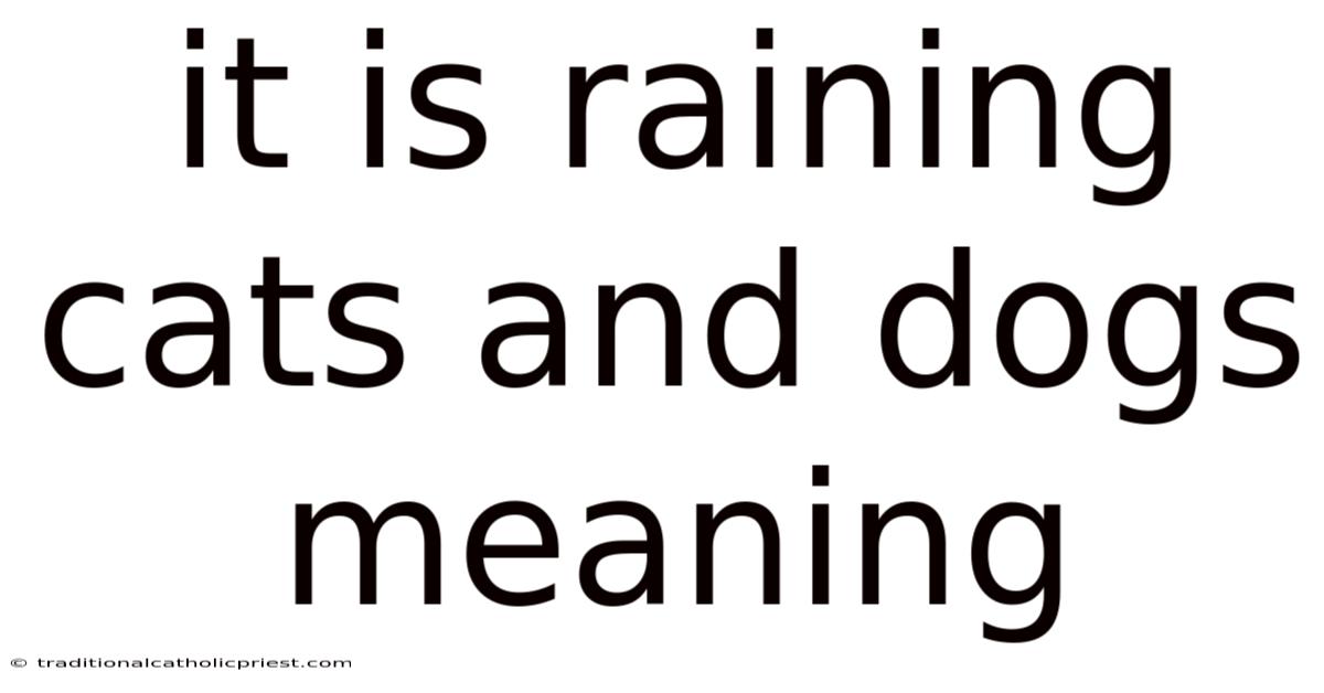 It Is Raining Cats And Dogs Meaning