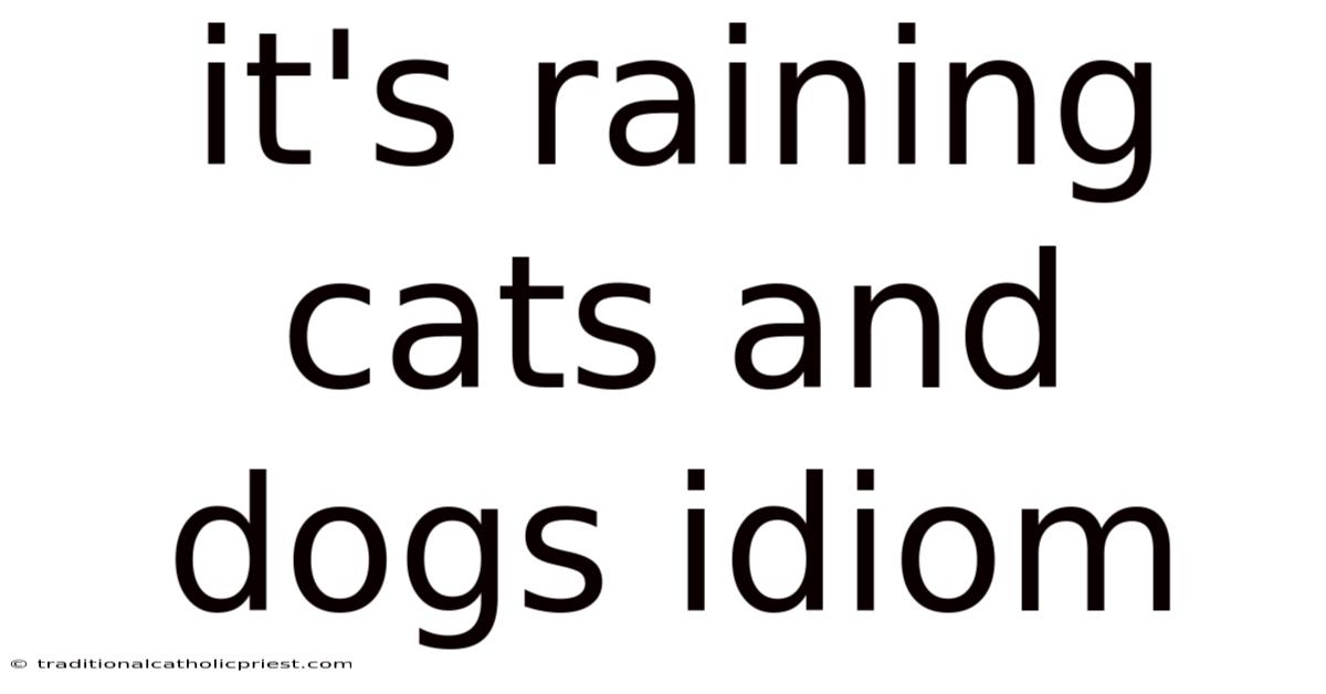 It's Raining Cats And Dogs Idiom