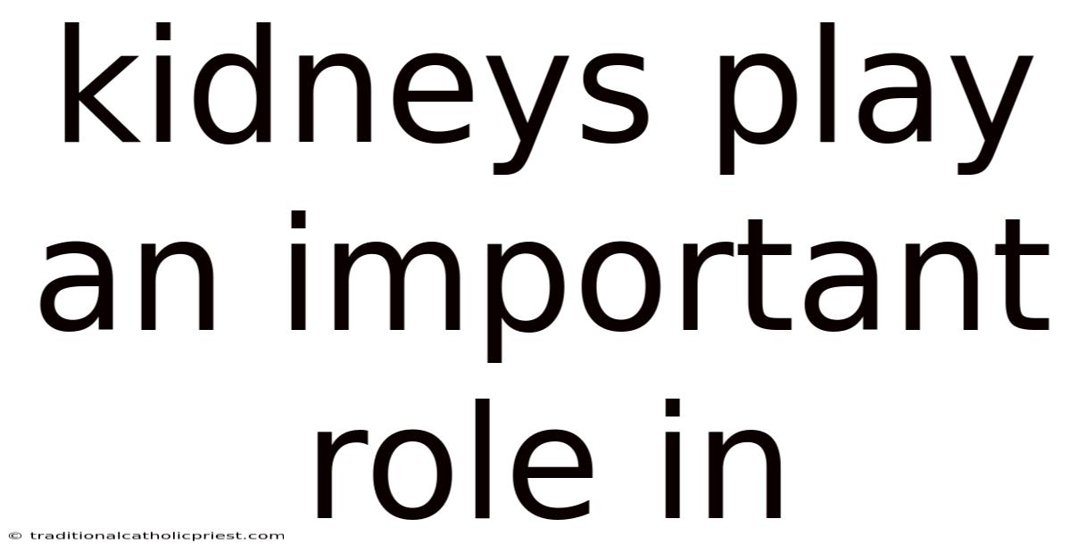 Kidneys Play An Important Role In